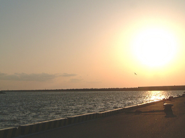 岩船港よりの海