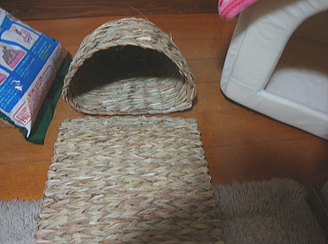 ももこのチモシーちぐら