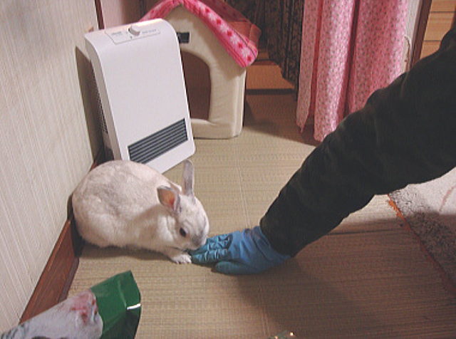 モモコ専用の暖房器具