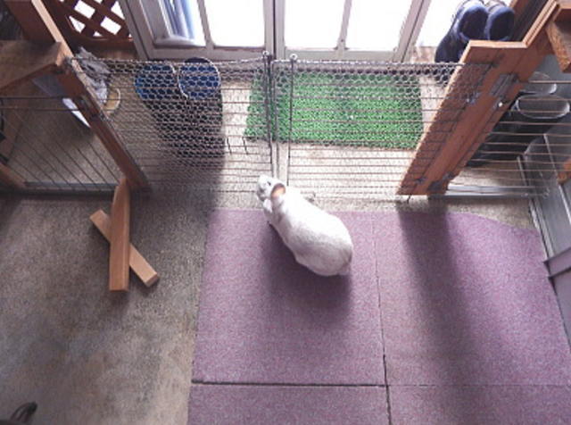 ももこの開けて