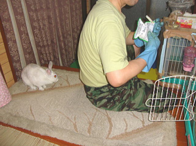 ももこ待っています