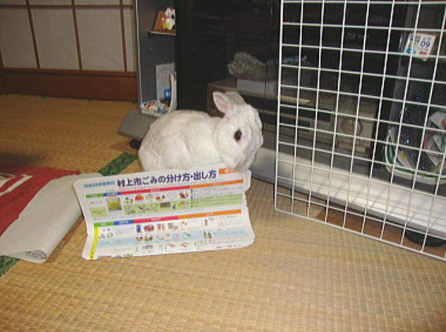 何でもモグモグと
