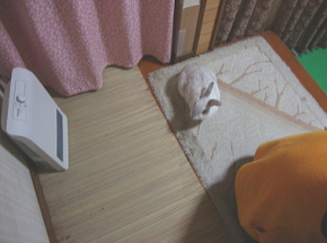 ももこちゃん専用の暖房器
