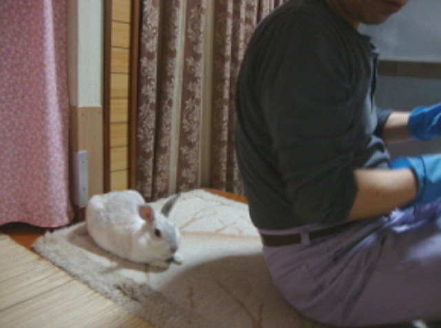 ももこちゃん後ろで待機