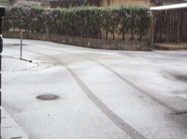 初雪