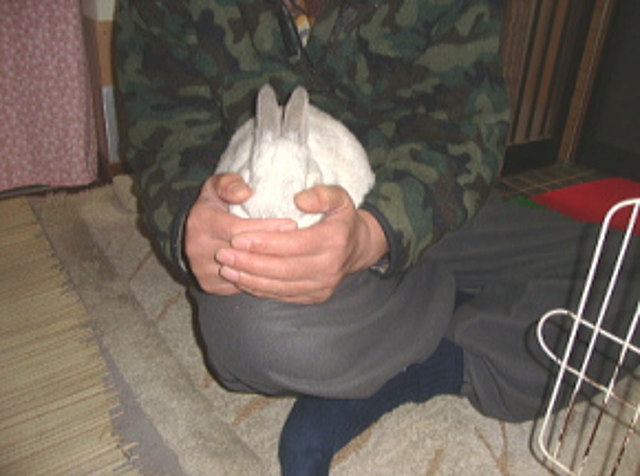 ヒザ乗りももこ