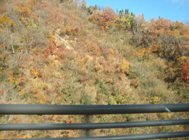 山々の紅葉