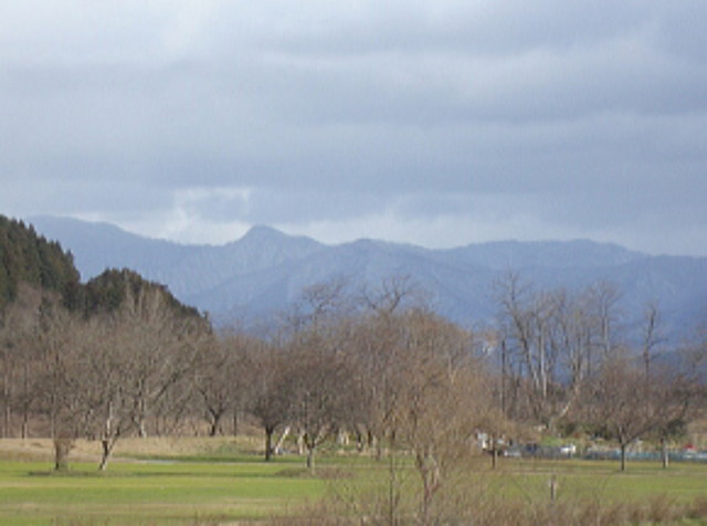 まるで春景色