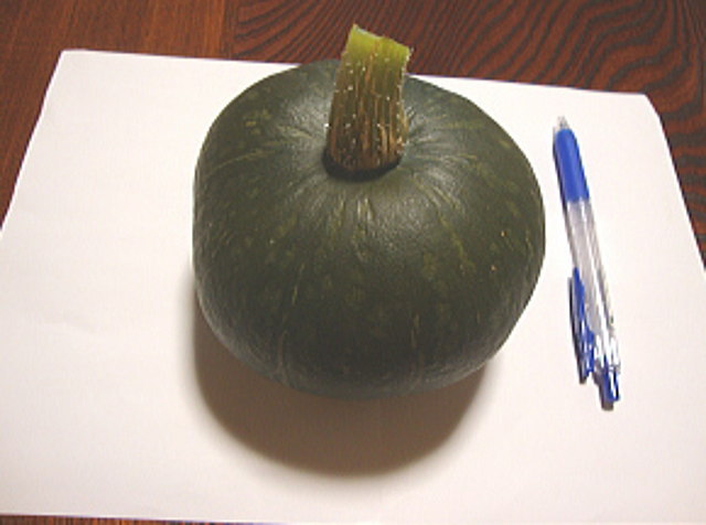 初物かぼちゃ