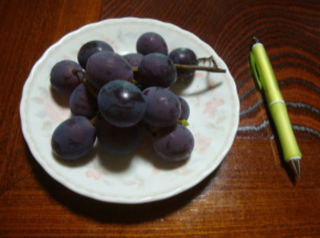 葡萄収穫