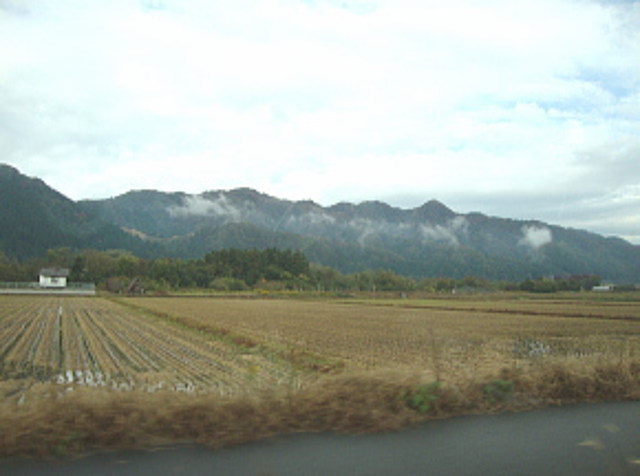 稲刈り跡