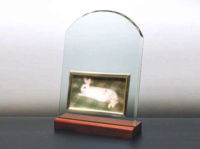フォトフレームガラス盾R型